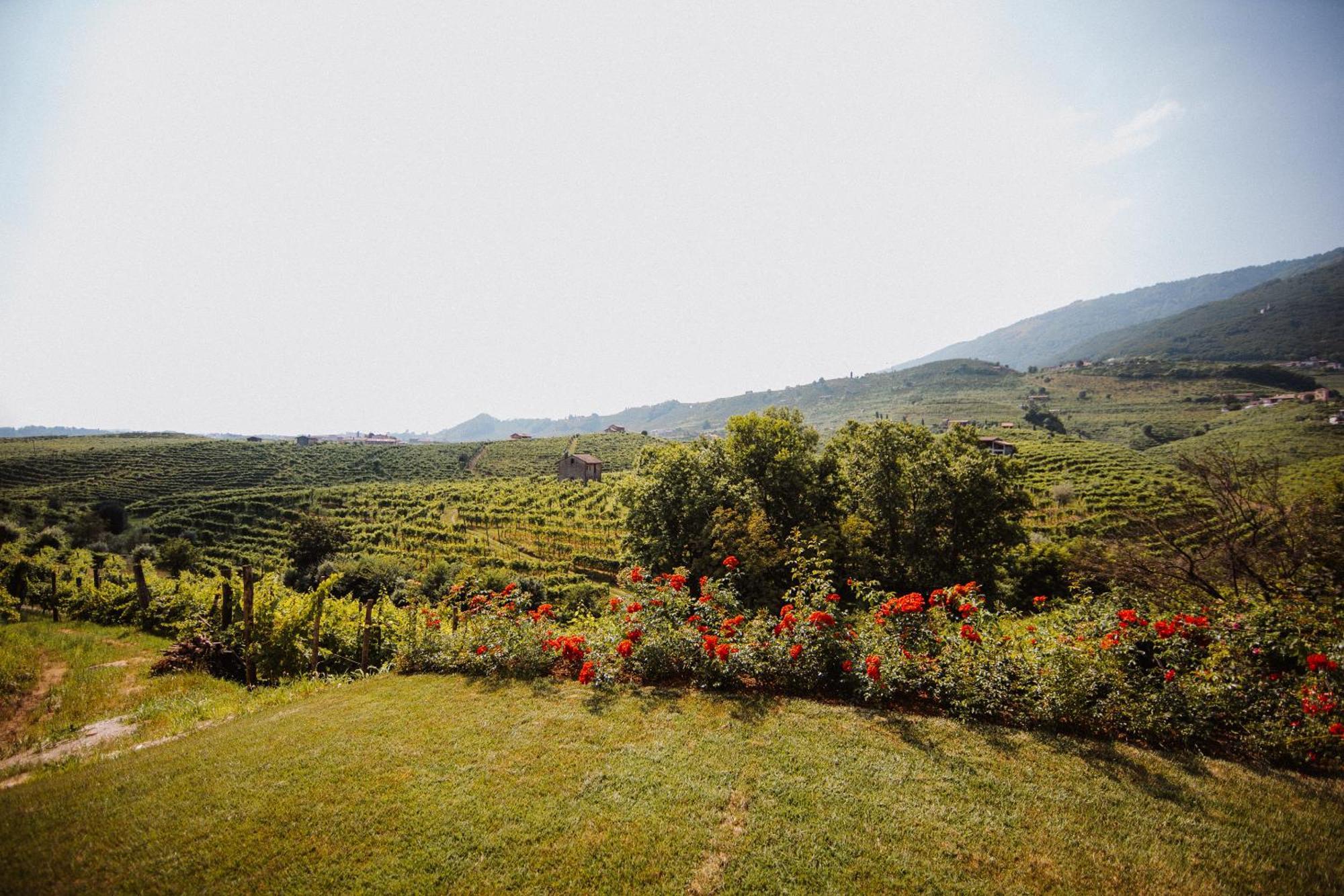 Casa Callonga Valdobbiadene Dış mekan fotoğraf
