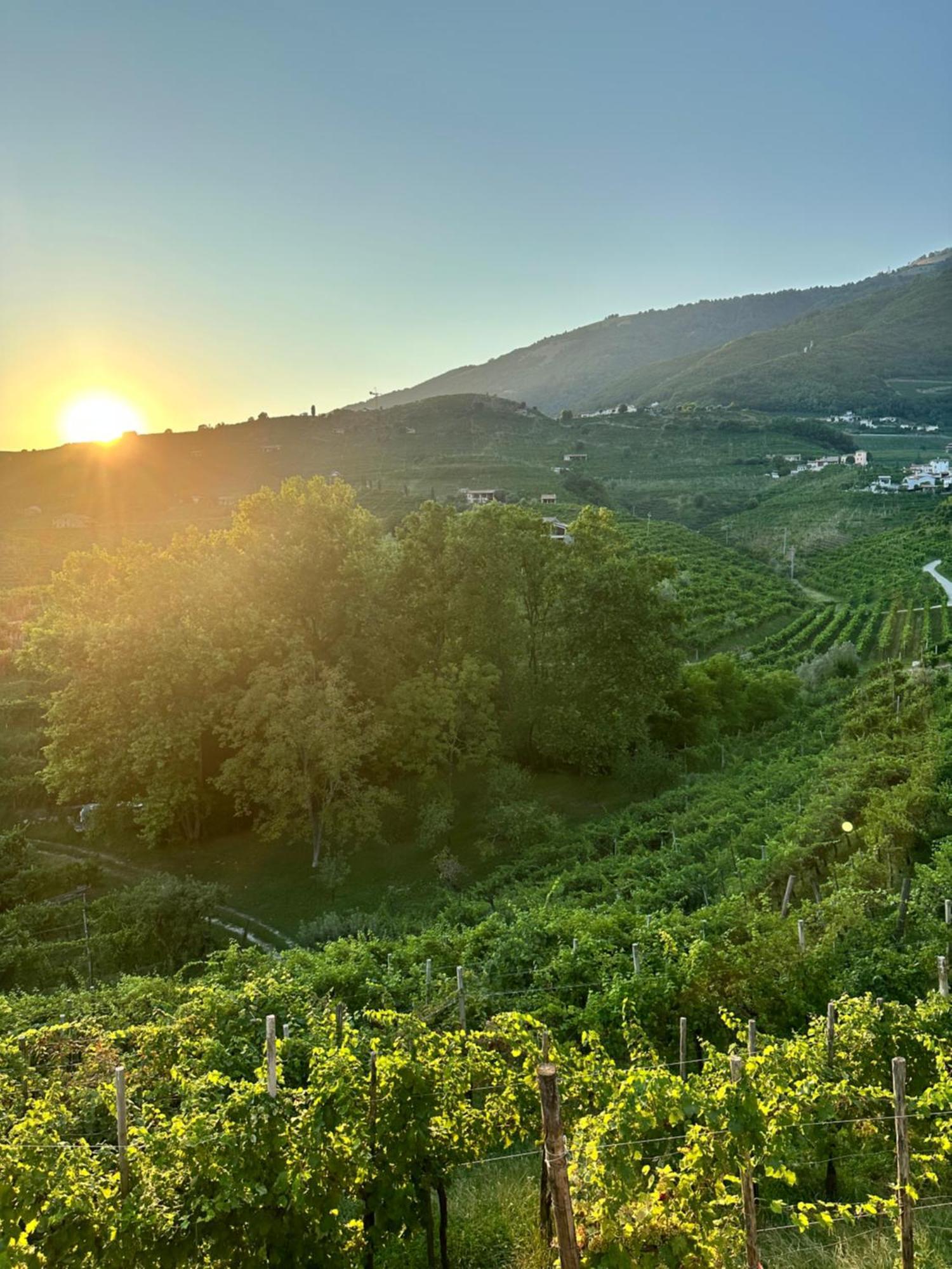 Casa Callonga Valdobbiadene Dış mekan fotoğraf